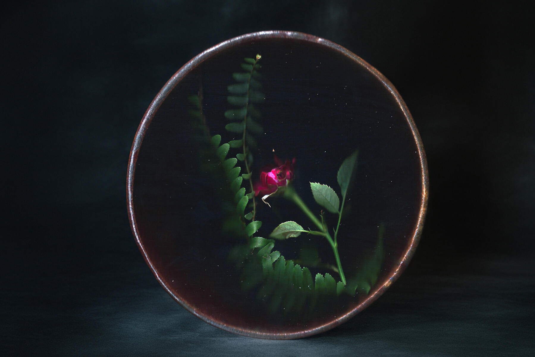 Where the Rose Sleeps