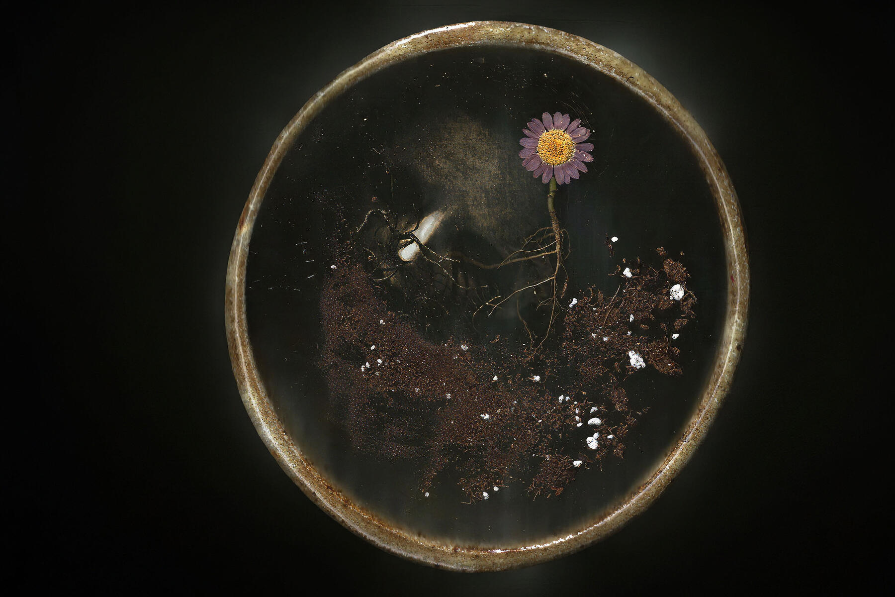 The Memory Beneath