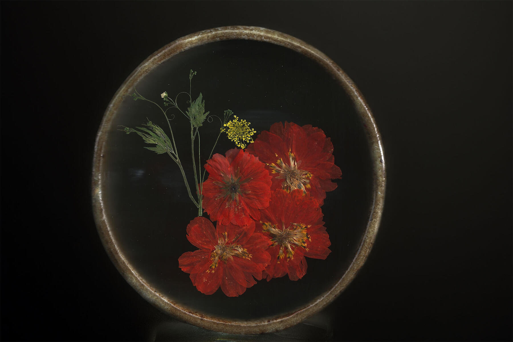 Scarlet Remembrance
